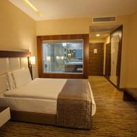 Large Single Room