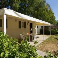Mobile Home