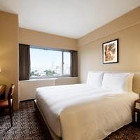 Superior Double Room - Non-Smoking