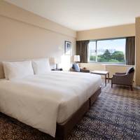 Deluxe King Room Non-Smoking - Garden View