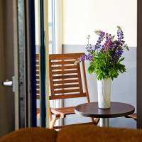 Deluxe Suite with Terrace - Spa Access