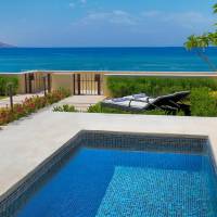 Premium Villa Suite, 1 Bedroom Smaller Villa, 1 King with Private Pool
