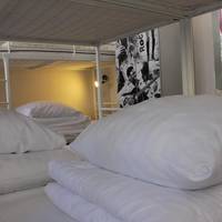 Bed in 8-Bed Dormitory Room