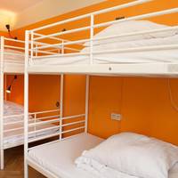 Bunk Bed in 8-Bed Dormitory Room