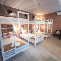 Bed in 6-Bed Mixed Dormitory Room