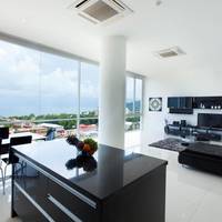 Penthouse Apartment