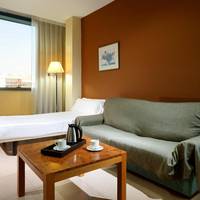 Standard Large Triple Room