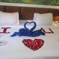 Deluxe Double or Twin Room with Garden View