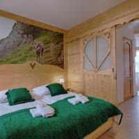 Apartment with Mountain View with Kitchenette