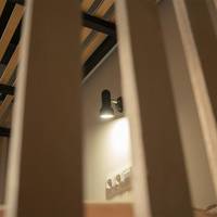 Bunk Bed in 20-Bed Dormitory Room
