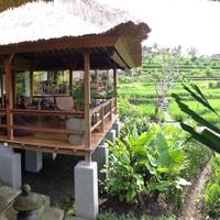 One-Bedroom Bungalow