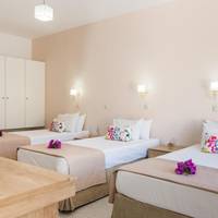 Studio (3 Adults)