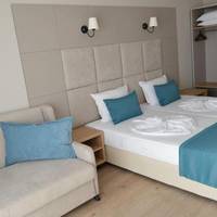 Standard Double Room with Park View (3 Adults)