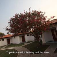 Triple Room with Balcony and Sea View