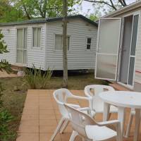 Mobile Home