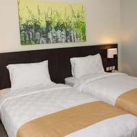 Deluxe Double or Twin Room with City View