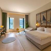 Large Double or Twin Room