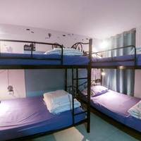 Bed in 4-Bed Mixed Dormitory Room