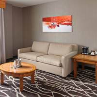 1 King Bed Junior Suite with Sofa Sleeper