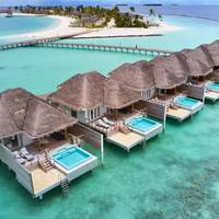 Dolphin Ocean Suite With Pool