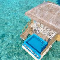 Dolphin Villa with Pool