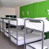 Bed in 8-Bed Dormitory Room
