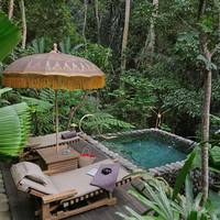 Rainforest Tent - King Room with Free Benefit