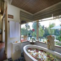 One-Bedroom Pool Villa