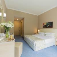 Standard Double or Twin Room with Land View