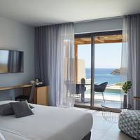 Superior Room with Private Pool Sea View