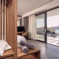 Deluxe Double or Twin Room with Sea View