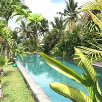 Deluxe Double or Twin Room with Pool View