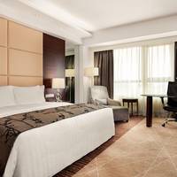 1 King Bed Premium 