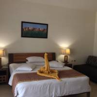 Honeymoon Offer