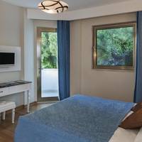 Standard Double or Twin Room with Land View
