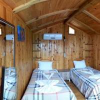 Bungalow Twin Bed