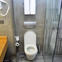 Deluxe Double or Twin Room with City View