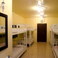 Bed in 10-Bed Mixed Dormitory