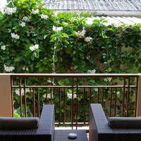 Grand Garden Double Room