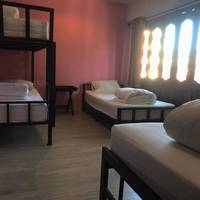 Bed in 4-Bed Mixed Dormitory Room