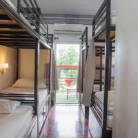 Bunk Bed in Mixed Dormitory Room