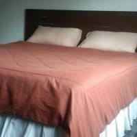 Deluxe Room (2 Adults + 1 Child)