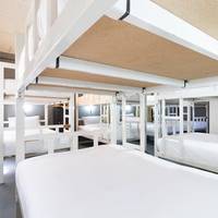 Bunk Bed in Mixed Dormitory Room