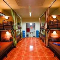 Bed in 8-Bed Dormitory Room