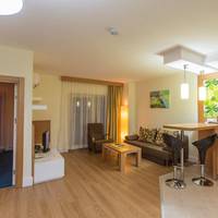 One-Bedroom Large Apartment Partial Sea View