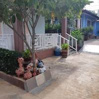 Standard House Garden View