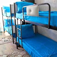 Bunk Bed in Mixed Dormitory Room