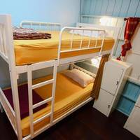Bunk Bed in Mixed Dormitory Room