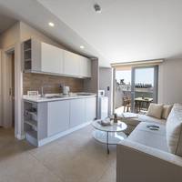 One-Bedroom Apartment (Terrace Suite) 