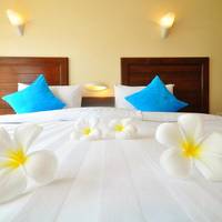 Deluxe Double or Twin with Garden View 